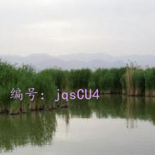 Բ