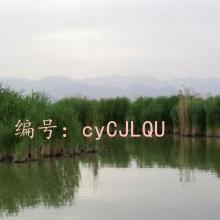 ƫ