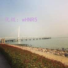 ̫