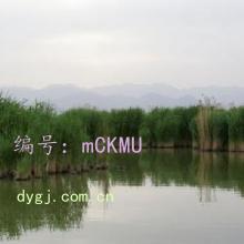 ɱ